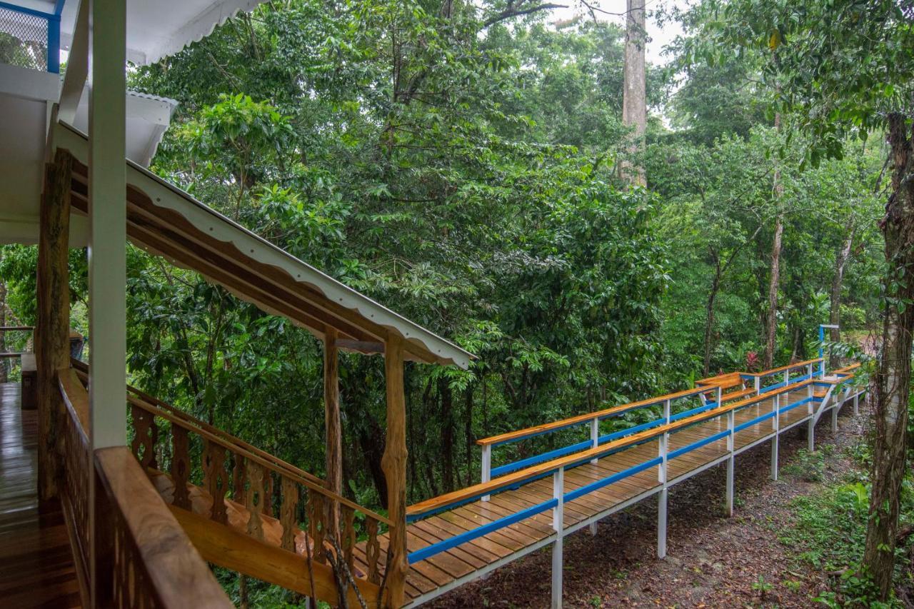 Blue Maverick Retreat - Secluded Nature Escape - 4Wd Access Required Cocles Dış mekan fotoğraf